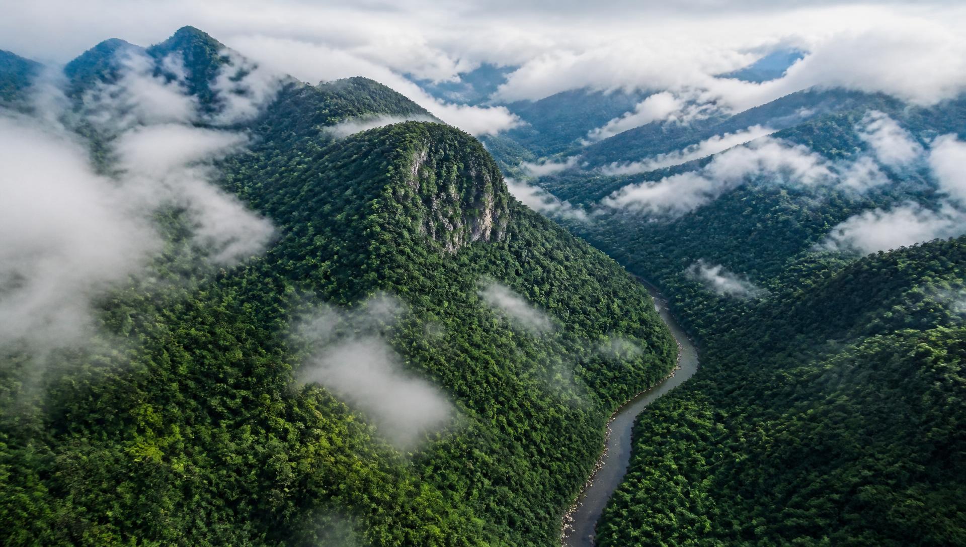 Vista aérea de montanhas cobertas por Mata Atlântica e nuvens baixas
